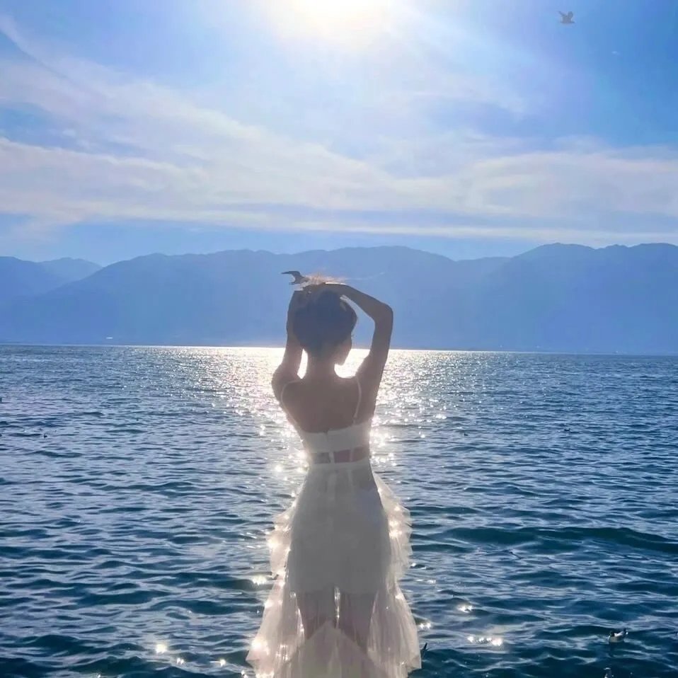 钢之炼金术师2003